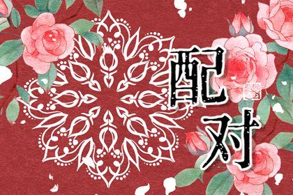 四柱在婚姻中的分工